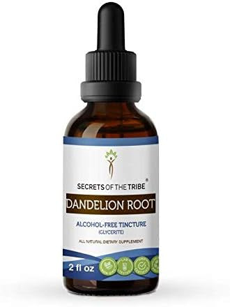 Secrets of the Tribe Dandelion Root Alcohol-Free Liquid Extract, Dandelion (Taraxacum Officinale) Dried Root Tincture Supplement (2 FL OZ)