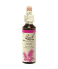 Pine ( Pin Sylvestre )
