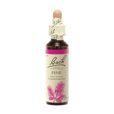 Pine ( Pin Sylvestre )