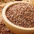 Kasha, Buckwheat, 5 Pounds Brown, Roasted, USDA Certified Organic, Non-GMO Bulk, Product of USA, Mulberry Lane Farms