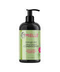 Mielle Organics - Rosemary Mint - Biotin Infused - Encourages Growth Hair Products For Stronger And Healthier Hair - Shampoo & Conditioner Styling Bundle Set 2 Pcs