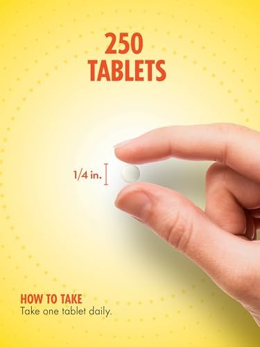Sundance Folic Acid 800 mcg 250 Vegetarian Tablets Essential BVitamin Vegetarian NonGMO and Gluten Free Supplement