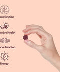 Alfa Vitamins Vitamin B Complex Gummies With Vitamin B12 B7 As Biotin B6 B3 As Niacin B5 B6 B8 B9 As Folate For Stress Energy Nerve Function And Healthy Immune System 60 Gummies