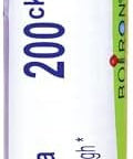 Boiron Spongia Tosta 200 Ck Homeopathic Medicine For Croupy Cough 80 Pellets