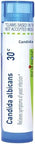 Boiron Usa Candida Albicans 30C [Health And Beauty]