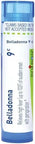 Boiron Belladonna 9C For High Fever Of Sudden Onset With Perspiration 80 Pellets