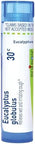 Boiron Eucalyptus Globulus 30C Homeopathic Medicine For Respiratory Antiseptic Relief 80 Pellets