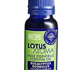 Lotus Aroma Eucalyptus Globulus Essential Oil, 0.5 Ounce