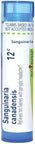 Boiron Sanguinaria Canadensis 12C For Hot Flashes With Periodic Headaches 80 Pellets