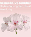 Doterra Geranium Essential Oil 15 Ml