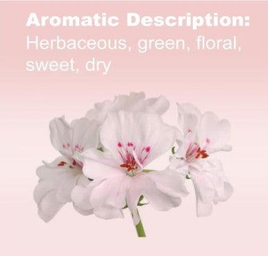 Doterra Geranium Essential Oil 15 Ml