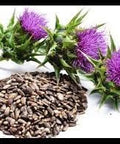 Liphontcta Wildcrafted Milk Thistle Seed Powder 16Oz Pound Raw Silybum Marianum The Bloomin Herb Shoppe Pure Aromatic Potent Liver Bulk