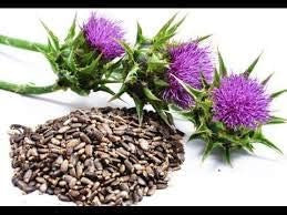 Liphontcta Wildcrafted Milk Thistle Seed Powder 16Oz Pound Raw Silybum Marianum The Bloomin Herb Shoppe Pure Aromatic Potent Liver Bulk