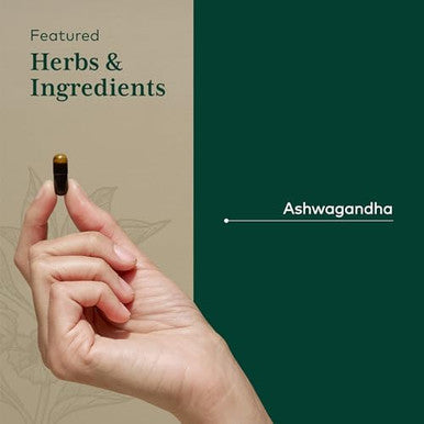 Gaia Herbs Pro Ashwagandha 700 Healthy Immune Support Supplement Singleherb Formula With Organic Ashwagandha Vegan Gluten Soy 120 Liquid Phytocaps (60 Servings)