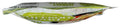 Saffron Road Lemongrass Basil Simmer Sauce, 7oz - Non-GMO, Gluten Free, Halal, Kosher