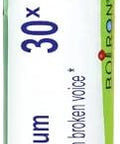 Boiron Arum Triphyllum 30X For Hoarseness With Broken Voice 80 Pellets