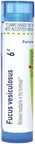Boiron Fucus Vesiculosus 6C For Headaches In The Forehead 80 Pellets