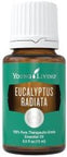 YL Eucalyptus Radiata Essential Oil 15ml