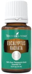 YL Eucalyptus Radiata Essential Oil 15ml