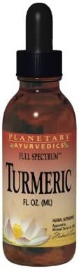 Planetary Herbals Turmeric Full Spectrum Liquid by Planetary Ayurvedics, Support for Antioxidant and Healthy Inflammation Response, 2 Ounces