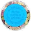 Digestive Advantage Probiotics For Digestive Health Probiotic Gummies & Vit D Daily 80Ct