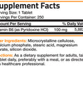 Bronson Vitamin B6 Pyridoxine - 100 mg 250 Count