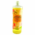 Carrier Oil Sweet Almond 16 Oz By Natures Alchemy