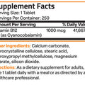 Bronson Vitamin B12 Sustained Release Non-GMO - 1,000 mcg 250 Count