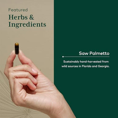 Gaia Herbs Pro Saw Palmetto Healthy Prostate Gland Support Supplement Herbal Supplement With Saw Palmetto & Sunflower Seed Vegan Gluten Soy 60 Liquid Phytocaps (60 Servings)