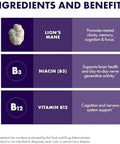 Host Defense Brainpower Stack Powder Targeted Brain Support Supplement Powder Mushroom Supplement With Lion'S Mane Niacin (B3) & Vitamin B12 Herbal Brain Support 100G (66 Servings)