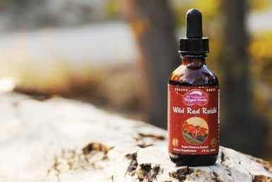 Dragon Herbs Wild Red Reishi Drops 2 Fl Oz