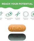 Healhtycell Am/Pm Healthspan System - 90+ Vitamins Minerals Protective Phytonutrients Probiotics & Enzymes For Advanced Cellular Nutrition - 60 Am Tablets & 60 Pm Tablets
