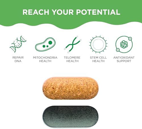 Healhtycell Am/Pm Healthspan System - 90+ Vitamins Minerals Protective Phytonutrients Probiotics & Enzymes For Advanced Cellular Nutrition - 60 Am Tablets & 60 Pm Tablets