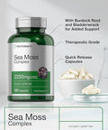 Horbaach Sea Moss Capsules 120 Count Complex Formula with Bladderwrack and Burdock Root NonGMO and Gluten Free Supplement