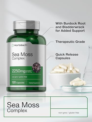 Horbaach Sea Moss Capsules 120 Count Complex Formula with Bladderwrack and Burdock Root NonGMO and Gluten Free Supplement