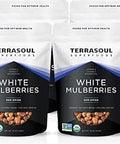 Terrasoul Superfoods Organic Sun-dried White Mulberries, 16 Oz, Sweet Superfood Snacking, Smoothie Booster, and Nutrient-Packed Yogurt Topping