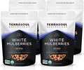 Terrasoul Superfoods Organic Sun-dried White Mulberries, 16 Oz, Sweet Superfood Snacking, Smoothie Booster, and Nutrient-Packed Yogurt Topping