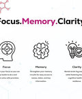 Just Thrive Focus & Memory Gummies â€“ Nootropic Brain Supplement For Clarity Concentration Memory Support & Energy â€“ Citicoline Lionâ€™S Mane Vitamin B12 & D3