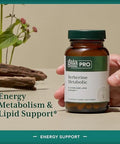 Gaia Herbs Pro Berberine Metabolic Supplement Supplement With Berberine Hci Vegan Gluten Soy 60 Capsules (60 Servings)