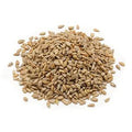 NUTS U.S. ÃƒÆ’Ã†â€™Ãƒâ€šÃ‚Â¢ÃƒÆ’Ã‚Â¢ÃƒÂ¢Ã¢â€šÂ¬Ã…Â¡Ãƒâ€šÃ‚Â¬ÃƒÆ’Ã‚Â¢ÃƒÂ¢Ã¢â‚¬Å¡Ã‚Â¬Ãƒâ€¦Ã¢â‚¬Å“ Sunflower Seeds | Roasted and Sea-Salted | No Added Colors and No Artificial Flavors | Packed and Grown In USA | Shelled Sunflower Seeds In Resealable Bags!!! (2 LB)
