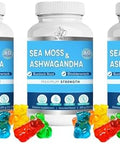 Bio Vitalica Sea Moss Ashwagandha Gummies Organic Irish Seamoss & Ashwa Root Powder Supplements For Supporting Energy & Immunity For Men And Women 2 Packs