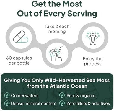 Wild Sea Moss Capsules - 100% Organic Irish Sea Moss With Organic Chlorella, Bladderwrack And Vitamin D For Energy, Lung Health And Thyroid Support For Women And Men - 60 Capsules