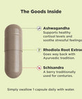 Olly Chill Adaptogen Ashwagandha Mood Support Supplement With Rhodiola Root Vegetarian Capsules 30Ct