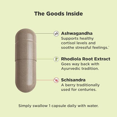 Olly Chill Adaptogen Ashwagandha Mood Support Supplement With Rhodiola Root Vegetarian Capsules 30Ct