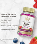 Solgar Zinc Gummies Adult Vitamin With 25Mg Ultra Potency Zinc Citrate For Immune Support Mixed Fruit Flavor Vegan Kosher and Gluten Gummy Supplements For Women and Men 2G Sugar 60 Servings