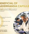 300 Billion Afu Akkermansia Prebiotic And Probiotic Muciniphila Digestive Health,Gut Health,And Immunehealth Multi-Strain Glp-1 Probiotics For Women & Men (120 Capsules)