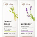 Gya Labs Lemongrass Essential Oil For Diffuser & Lavender Essential Oil For Diffuser Set - Aromatherapy Grade Essential Oils Set - 2X0.34 Fl Oz - Gya Labs