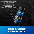 Muscletech Nitric Oxide Supplements For Men & Women Muscle Builder (60 Capsules) Nitric Oxide Booster Supplement Supports Muscle Gain & Performance 400Mg Peak Atp For Enhanced Strength