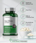 Horbaach Sea Moss Capsules 120 Count Complex Formula with Bladderwrack and Burdock Root NonGMO and Gluten Free Supplement