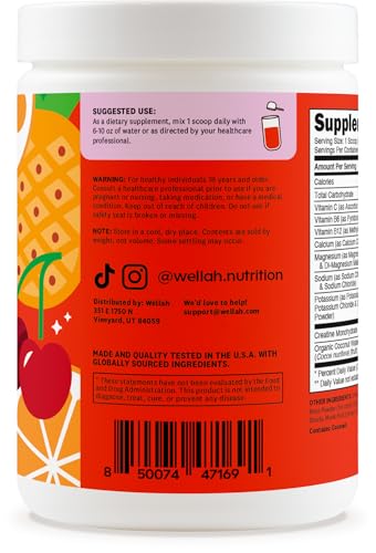 Wellah Creatine Electrolytes Powder (Fruit Punch) 30 Servings - Hydration Drink Mix With 3G Of Creatine Monohydrate